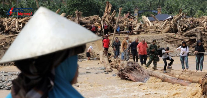 DPR Panggil Menhut Raja Juli Bahas Ribuan Kayu Hanyut Pasca-Banjir Sumatra