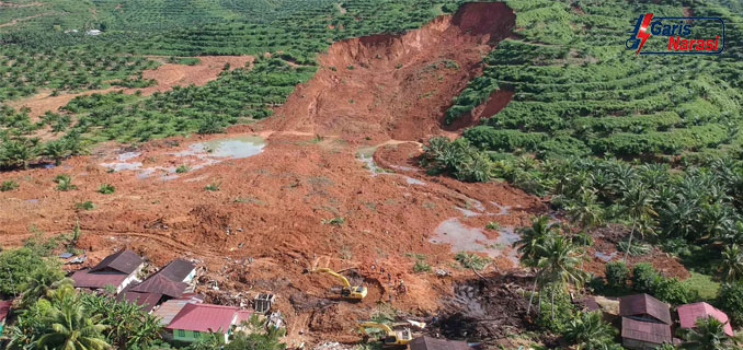 Menhut Segel 3 Perusak Hutan Sumatra, Total 7 Entitas Resmi Dihentikan