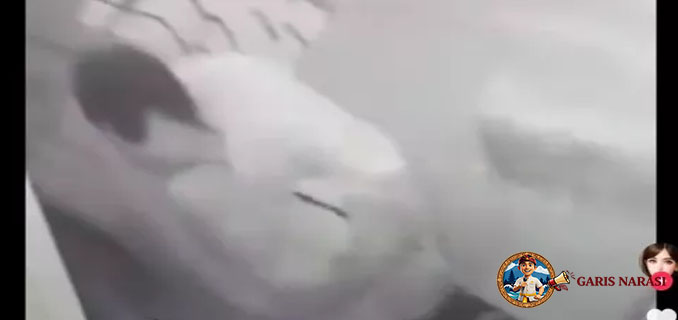 Viral Video Mesum di RSUD Kudus Oknum Pegawai Dibebastugaskan