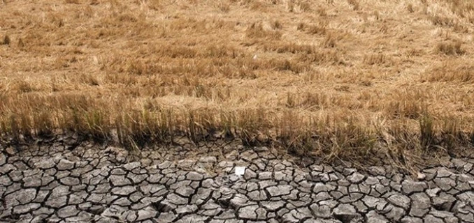 Riset dan Implementasi Teknologi Pemantau Intrusi Air Asin